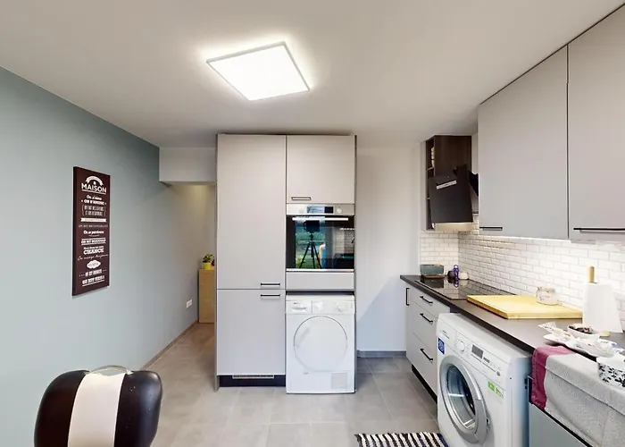 Serenity Entree Privee Au Calme Jardin 公寓 贝尔特朗日